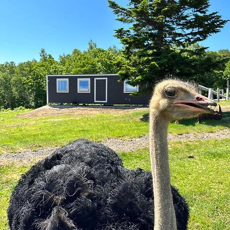 Margo'S Garden Farmstay, Kiroro Akaigawa Dış mekan fotoğraf