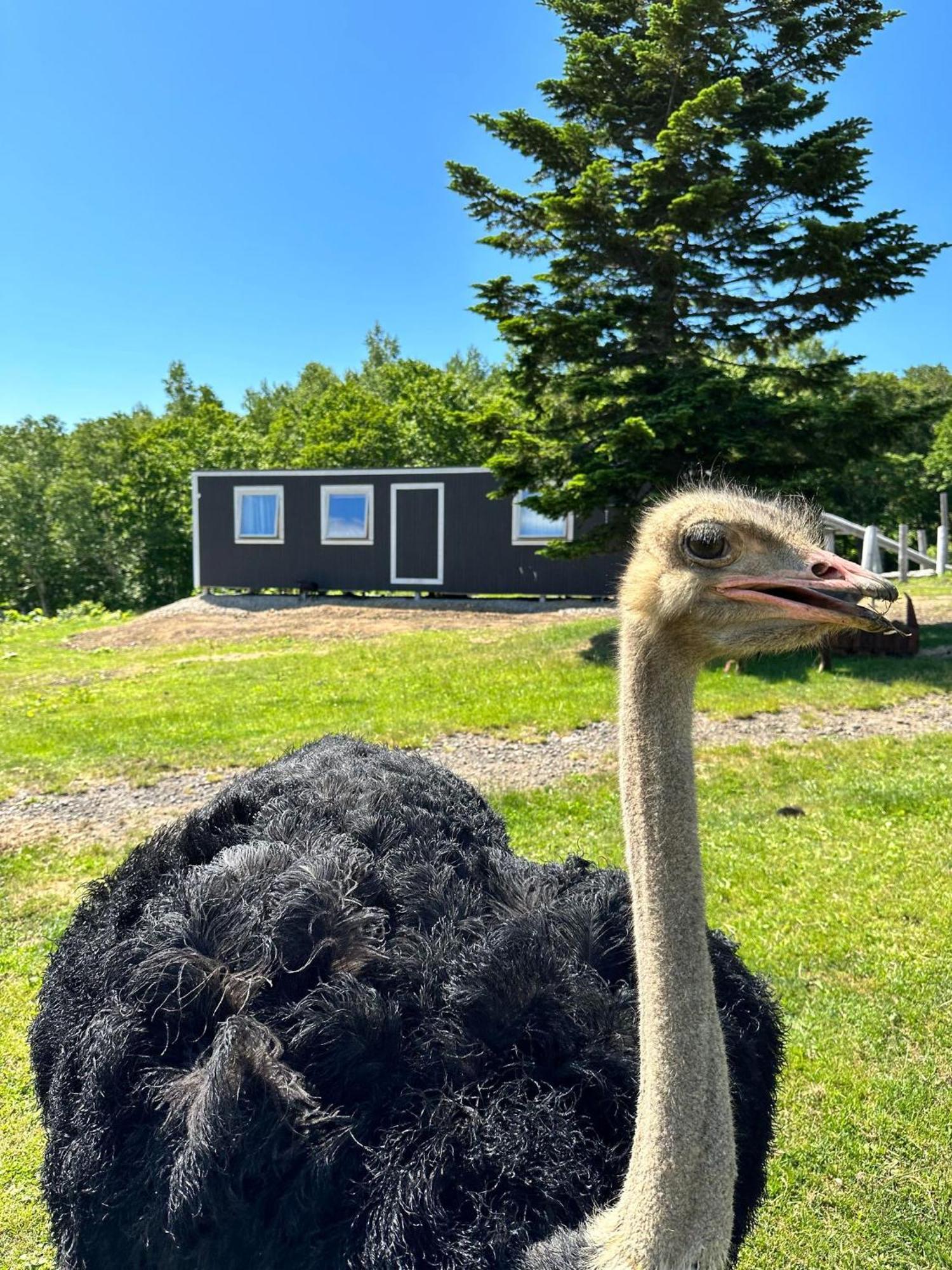Margo'S Garden Farmstay, Kiroro Akaigawa Dış mekan fotoğraf